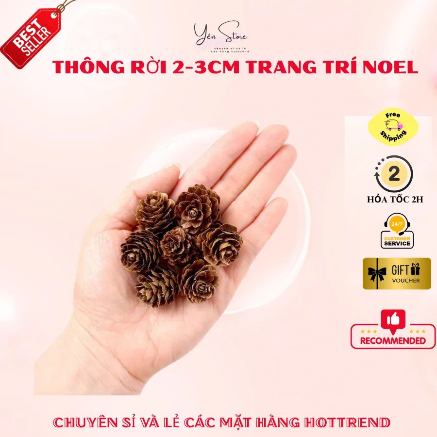 Set 6 Trái  Thông Không Dây 2-3cm Treo Cây Thông Noel Trang Trí Decor Nhà Cửa DIY YEN Store